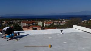 16602308_1269800546432873_2079399526668762471_o