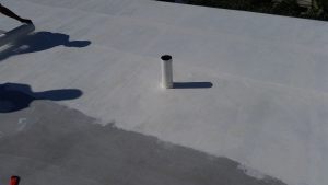 16665643_1269800436432884_2361229387800375349_o