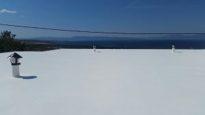 16722534_1269800676432860_2255267437182515280_o