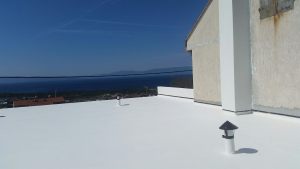 16722595_1269800776432850_4272641075836537341_o